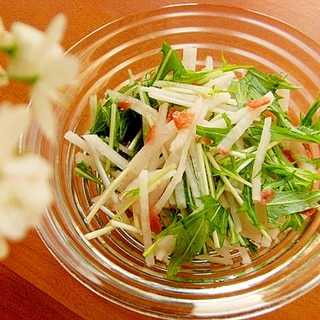 すぐ食べる漬物サラダ♪赤小梅の和え物（大根＆水菜）